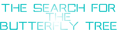 The search for the  Butterfly tree